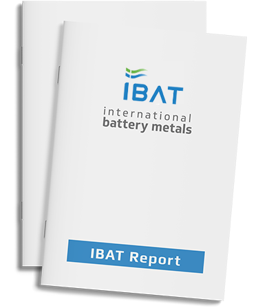 IBAT_report-1